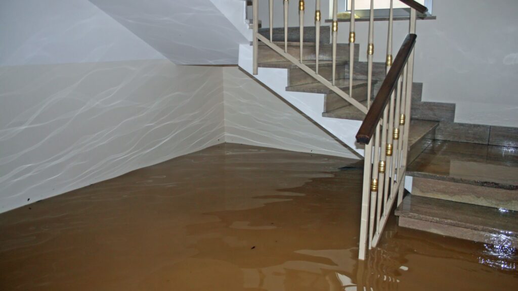 FloodClean-up