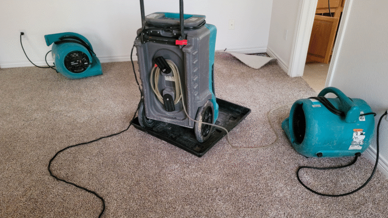 FloodClean-up